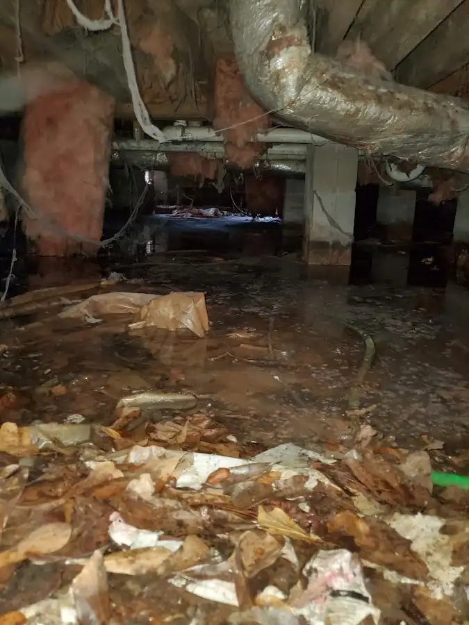 Crawl space flood assessment for Leak Detection & Repair in Arkadelphia